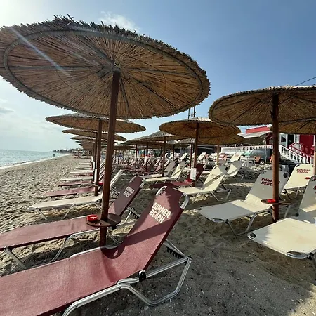 Summer 2* Polychrono