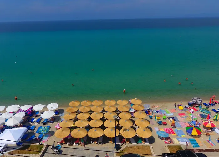 Summer 2* Polychrono