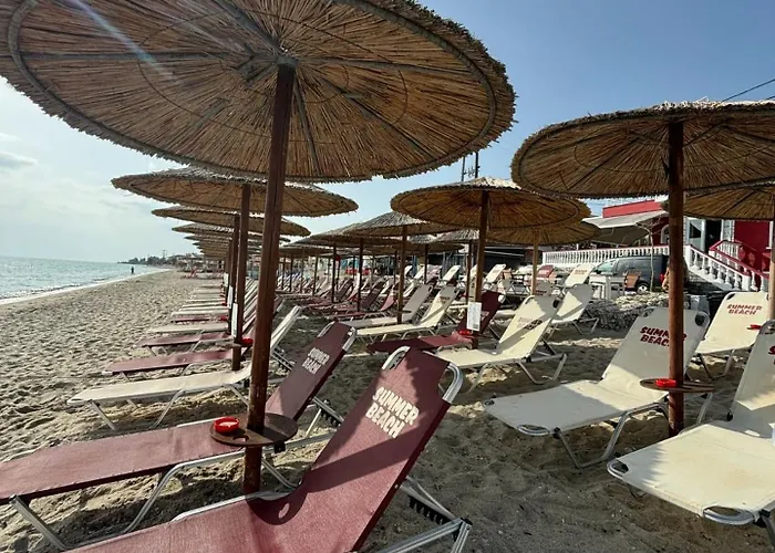 Summer 2* Polychrono