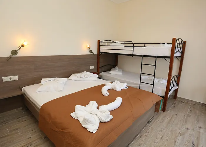 Summer 2* Polychrono